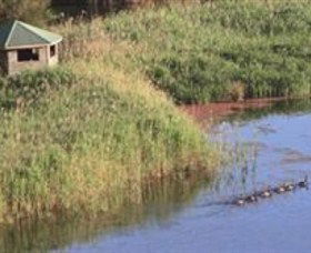 Spring Creek Wetlands Walk - Accommodation Tasmania 0