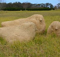 Unreal Rocks Statue Gallery - Accommodation Tasmania
