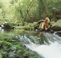 Dave's Creek circuit - Accommodation Tasmania