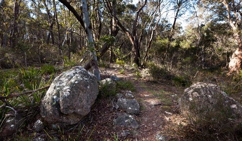 Wadbilliga National Park - Accommodation Tasmania 2