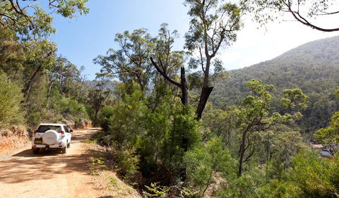 Wadbilliga National Park - Accommodation Tasmania 3