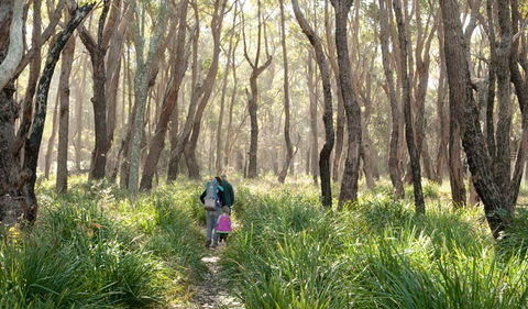 Nerindillah Lagoon Walking Track - Accommodation Tasmania 3