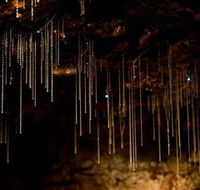 Tamborine Mountain Glow Worm Caves - Accommodation Tasmania
