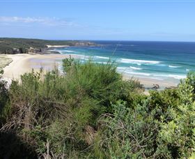 South Pacific Heathland Reserve - Accommodation Tasmania 0