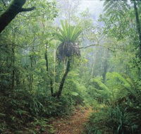 Wagawn - Accommodation Tasmania