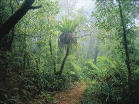 Wagawn - Accommodation Tasmania 0