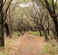 Pretty Beach to Snapper Point walking track - Accommodation Tasmania
