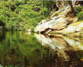 Numinbah Valley Adventure Trails - Accommodation Tasmania 1