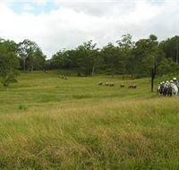 Numinbah Valley Adventure Trails - Accommodation Tasmania