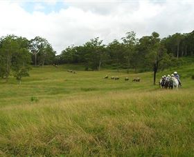 Numinbah Valley Adventure Trails - Accommodation Tasmania 0