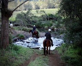 Numinbah Valley Adventure Trails - Accommodation Tasmania 3