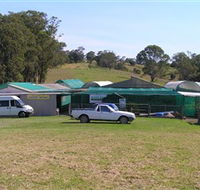 Tinonee Orchid Nursery - Accommodation Tasmania