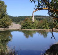 Oak Grove Walk Balingup - Accommodation Tasmania
