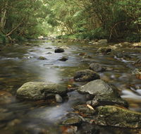Plateau Circuit loop trail - Accommodation Tasmania