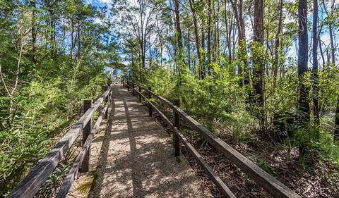 Flat Rock Lookout - Accommodation Tasmania 2