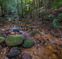 Starrs Creek picnic area - Accommodation Tasmania