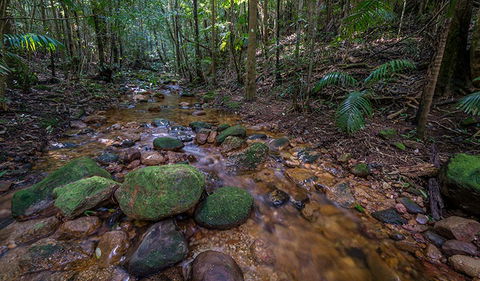Starrs Creek Picnic Area - Accommodation Tasmania 0