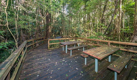 Starrs Creek Picnic Area - Accommodation Tasmania 1