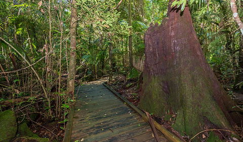 Starrs Creek Picnic Area - Accommodation Tasmania 2