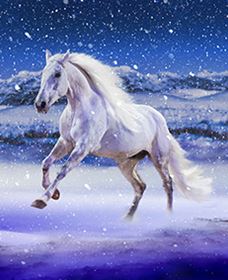 Australian Outback Spectacular: High Country Legends - Accommodation Tasmania 1