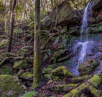 Coorabakh National Park - Accommodation Tasmania