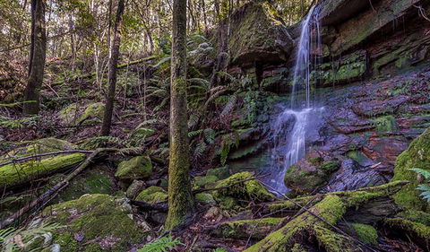 Coorabakh National Park - Accommodation Tasmania 0
