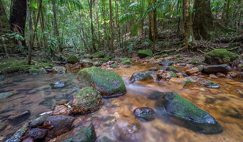 Coorabakh National Park - Accommodation Tasmania 1