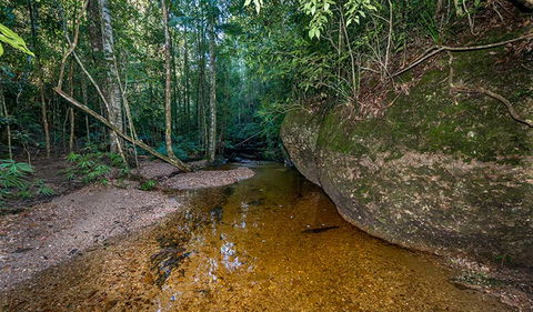 Coorabakh National Park - Accommodation Tasmania 2