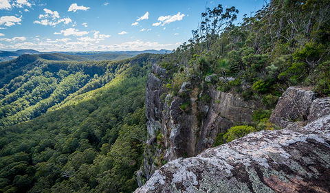 Coorabakh National Park - Accommodation Tasmania 3