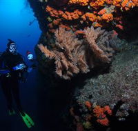Gotham City Dive Site - Accommodation Tasmania