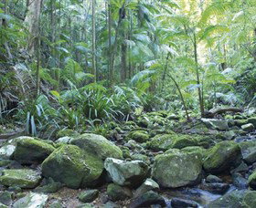 Rocky Creek Dam - Accommodation Tasmania 5