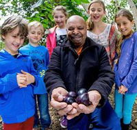 Wigay Aboriginal Culture Park - Accommodation Tasmania