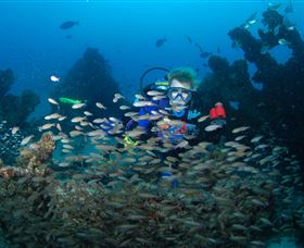 Aarhus Dive Site - Accommodation Tasmania 0