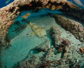 Aarhus Dive Site - Accommodation Tasmania 3