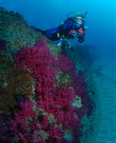 Aarhus Dive Site - Accommodation Tasmania 2