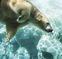 Australia's Sea World - Accommodation Tasmania