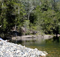 Mount Boss State Forest - Accommodation Tasmania