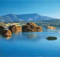 Wagonga Picnic Area - Accommodation Tasmania