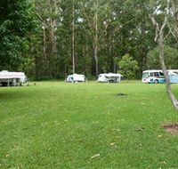 Coopernook Forest Park - Accommodation Tasmania