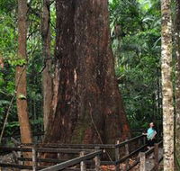Bird Tree and Benaroon - Accommodation Tasmania
