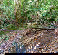 Ulidarra National Park - Accommodation Tasmania