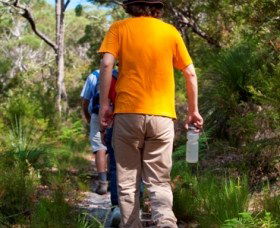 Naree Budjong Djara National Park - Accommodation Tasmania 3