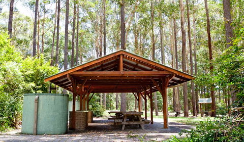 Bongil Picnic Area - Accommodation Tasmania 0