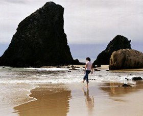 Glasshouse Rocks And Pillow Lava - Accommodation Tasmania 1