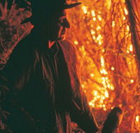 The Shed Gallery - Accommodation Tasmania