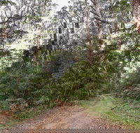 End Peak walking track - Accommodation Tasmania