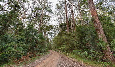 End Peak Walking Track - Accommodation Tasmania 0