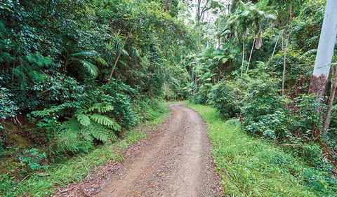 End Peak Walking Track - Accommodation Tasmania 2