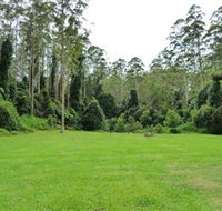 Kerewong State Forest - Accommodation Tasmania