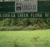Woolgoolga Creek Flora Reserve - Accommodation Tasmania